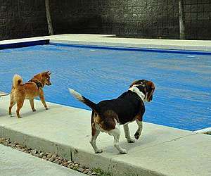 Fábrica de lonas para piscinas Fábrica de lonas para piscinas
