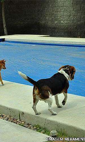 Fábrica de lonas para piscinas Fábrica de lonas para piscinas