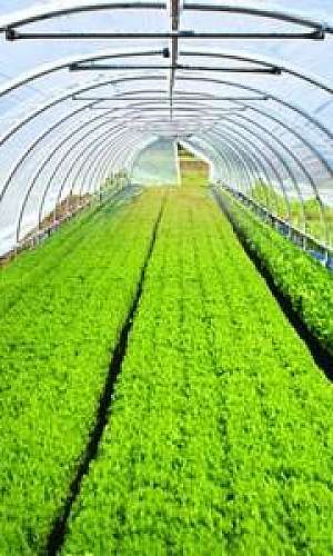 Lona de estufa Lona de estufa