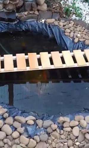 Lona para tanque de peixe Lona para tanque de peixe