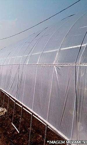 Lona transparente para estufa Lona transparente para estufa